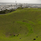 Auckland Nova Zelanda